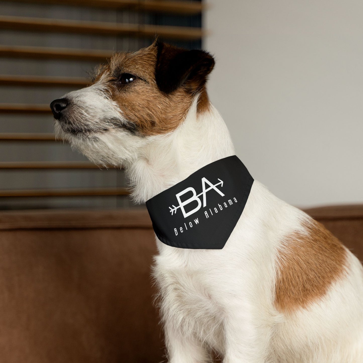 BA Arrow Pet Bandana Collar