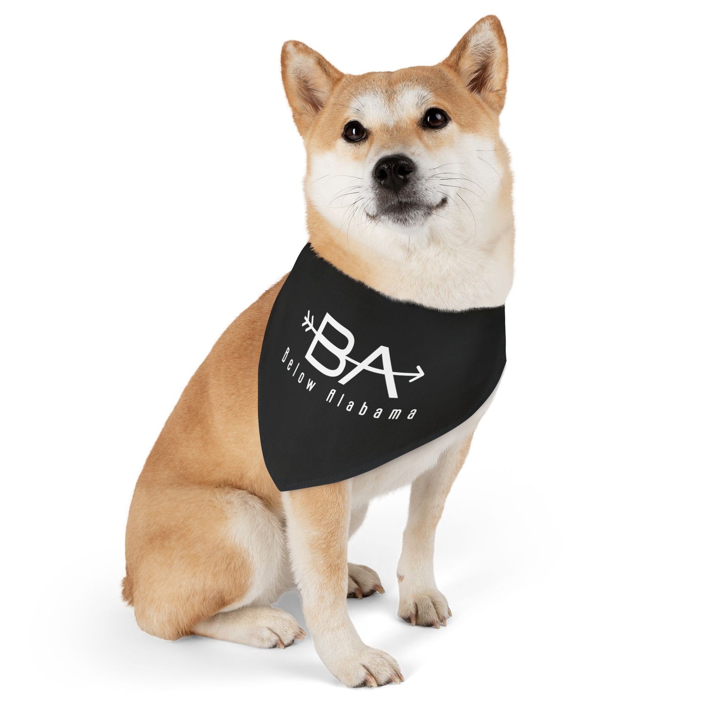 BA Arrow Pet Bandana Collar